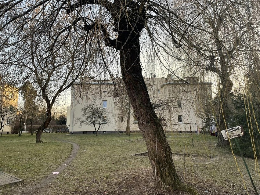 Siedem podwórek i terenów przy blokach w Stalowej Woli będzie rewitalizowanych. Zobacz zdjęcia