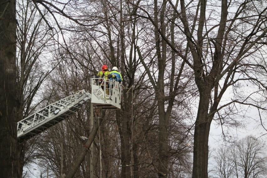 Podobne wiatry nawiedziły Polskę niespełna trzy tygodnie...