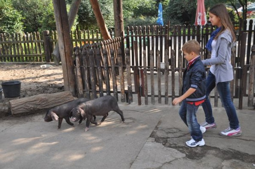 Dzieciniec we wrocławskim zoo