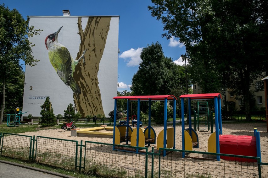 Kraków. Piękny mural na Kozłówku. Spółdzielnia zapowiada...