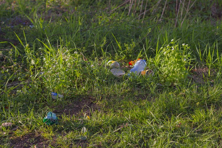 Nowosolska Dolina Odry - obszar Natura 2000 [zdjęcia]