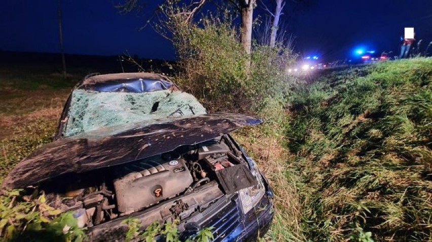 Groźne zderzenie samochodu z jeleniem pod Koszęcinem