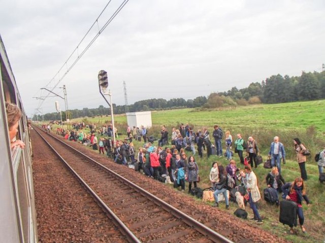 To zdjęcie z niedzielnej podróży pociągiem „Podlasiak”. Zdaniem naszego Czytelnika, przewoźnik zawiódł