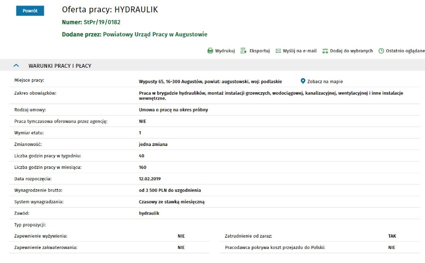 Oferty pracy w Augustowie i okolicach. Zobacz, gdzie możesz pracować (GALERIA)