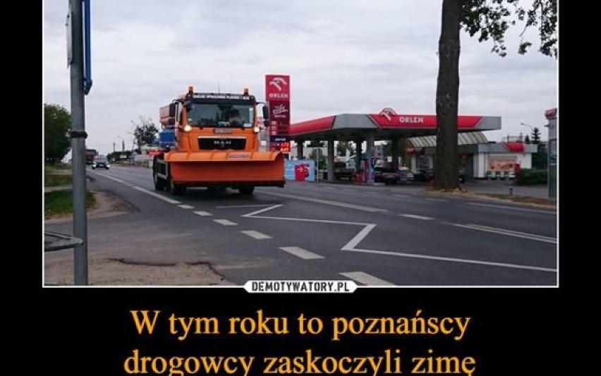 Poznań miasto doznań, herbata TeyTey, pszczółka w radzie...