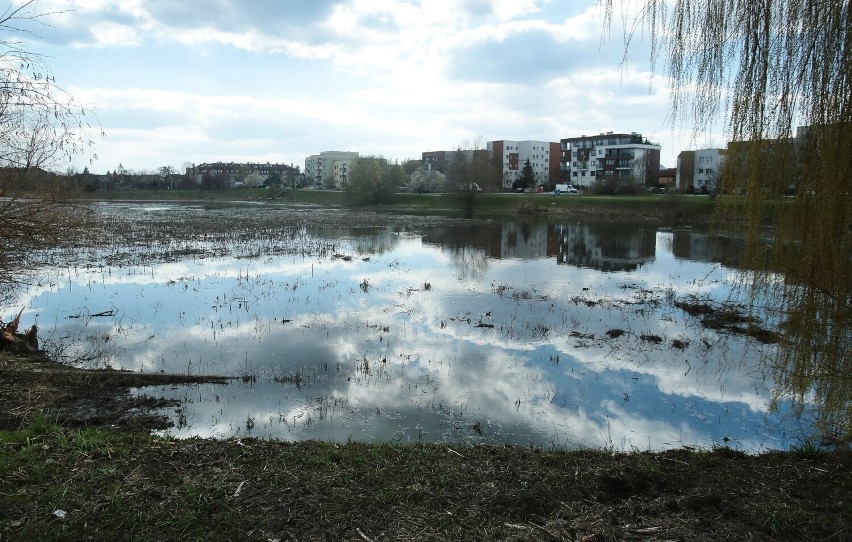 Wody Polskie zakończyły prace porządkowe przy jeziorze Słonecznym