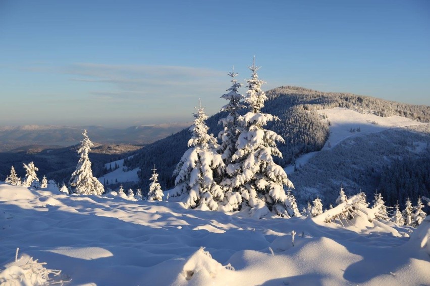 Zima w Beskidach! W górach nawet 25 cm śniegu! [ZDJĘCIA, KAMERKA]