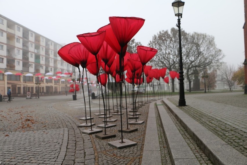 Dekoracje niepodległościowe w miastach. Na zdjęciu Legnica