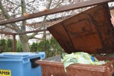 Kupcy z sandomierskiego zieleniaka alarmują, że kontenery na odpady ranią ich w dłonie. Co się dzieje? Zobacz zdjęcia