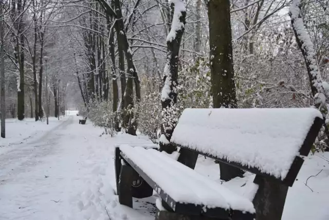Zima w Dolnie Trzech Stawów w Katowicach. 

Zobacz kolejne zdjęcia. Przesuwaj zdjęcia w prawo - naciśnij strzałkę lub przycisk NASTĘPNE