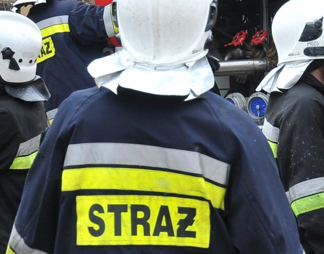 Paliło się auto w Sierakowicach Prawych koło Skierniewic. Pożar wybuchł na sierakowickiej drodze w sobotę, 7 lutego, około godz. 8.