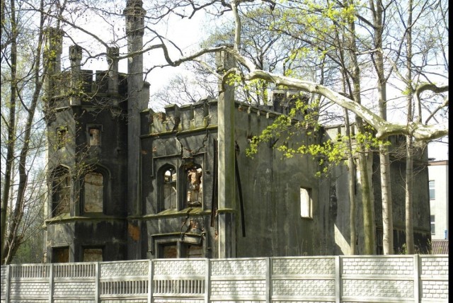 Ruiny pałacu w Miechowicach znajdującego się w Parku Ludowym wchodzącym w skład Miechowickiej Ostoi Leśnej