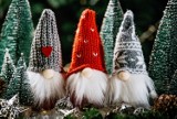 Skrzaty świąteczne - na czym polega ich fenomen? Nieprzemijający trend w bożonarodzeniowych dekoracjach 