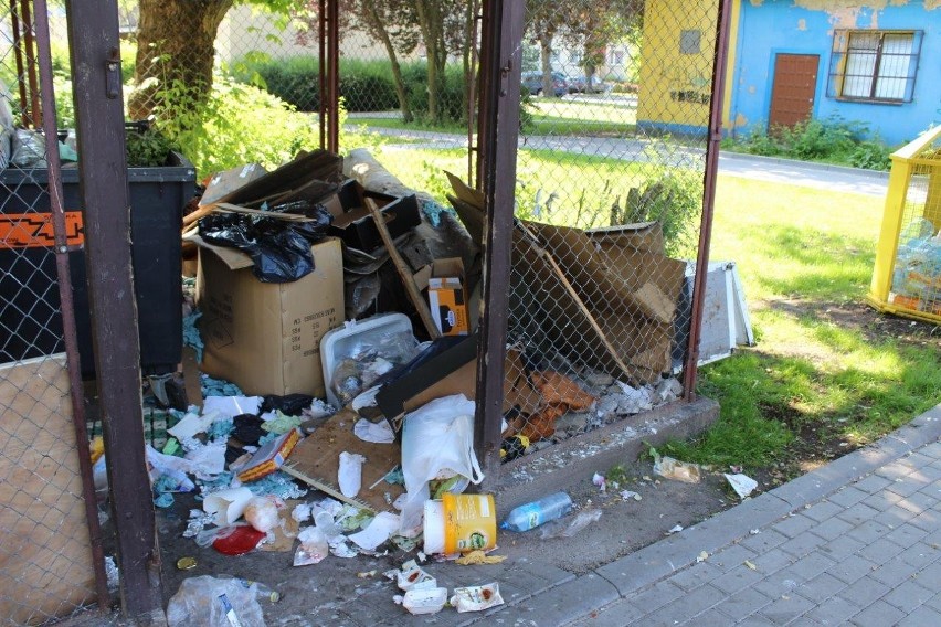 Segregacja śmieci w Złotowie.