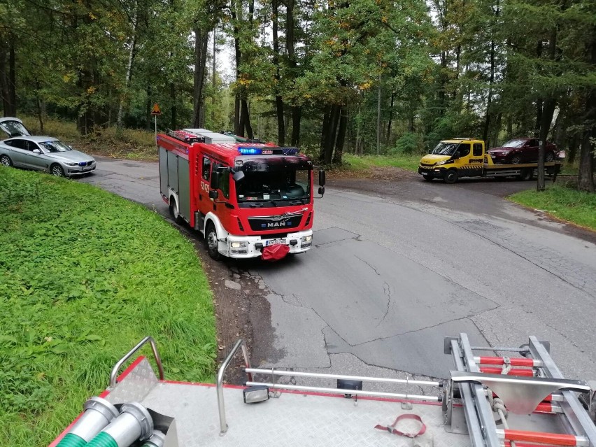 Konar spadł na samochód na serpentynach. Autem podróżowały...