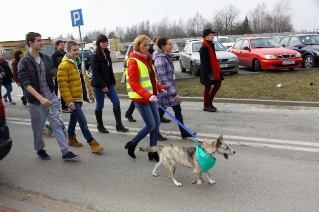 Puławy: Nowe schronisko dla zwierząt już otwarte