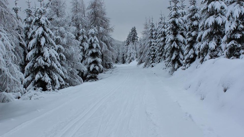 Jakuszyce pogoda: Śnieżyca w górach, poprawiają się warunki...