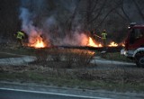 Pożar na obwodnicy Gorlic. Ogień wybuchł w kilku miejscach równocześnie. Na miejscu kilka zastępów JRG