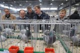 Wystawa pięknych gołębi w Targach Kielce zachwyciła