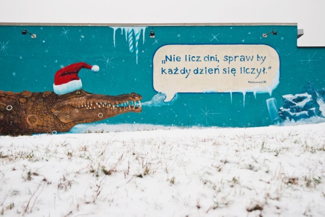 Nowe murale w mieście