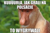 Polska - Senegal: zobacz najlepsze memy po porażce biało-czerwonych