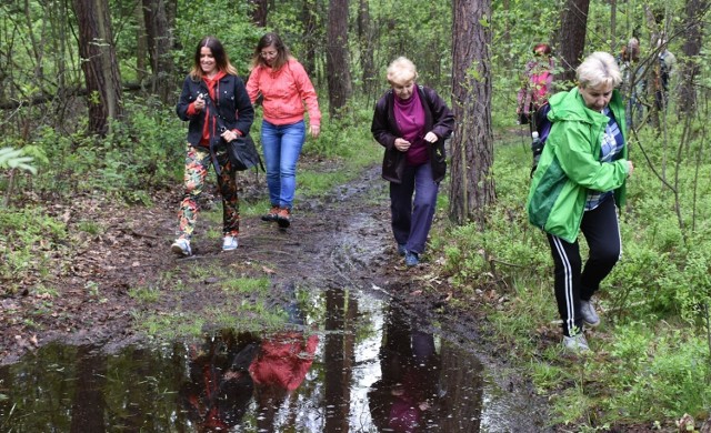 W ramach projektu „Kołtunowa Woda – śladem wierzeń, mitów i podań” MOKSiR Chełmek zorganizował wędrówkę do miejsca, gdzie kiedyś tryskała woda o niezwykłych właściwościach