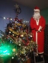 Choinki 2021 - czyli świąteczne drzewka w domach mieszkańców powiatu chodzieskiego (ZDJĘCIA)