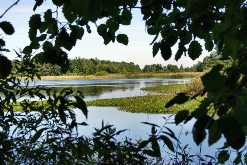 Poleski Park Narodowy