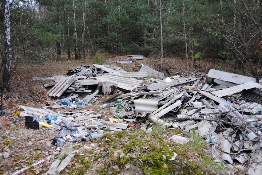 Leszna Niedziela odbyła się w Kurnosie Drugim (gmina Bełchatów)