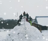 Niedźwiedź. Ulepili gigantycznego bałwana, ma aż siedem metrów wysokości. Czy ktoś pobije rekord Orkiestry św. Sebastiana? [ZDJĘCIA]