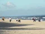 Gmina Sztutowo. Aresztanci posprzątali plażę