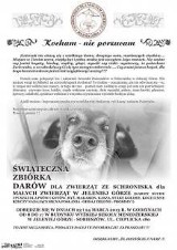 Zbiórka karmy dla psów ze schroniska w Jeleniej Górze