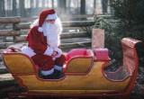 Zoo przykryte śniegiem zaprasza na spotkanie ze św. Mikołajem. "Jak w Laponii"