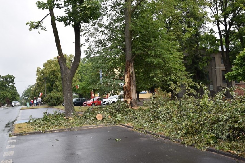 Straż usuwała powalone drzewa. Także na parkingu przy Złotnickiego [zdjęcia]