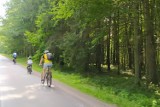 Wciąż nie ma wspólnego planu przebiegu ścieżki rowerowej z Hajnówki do Białowieży