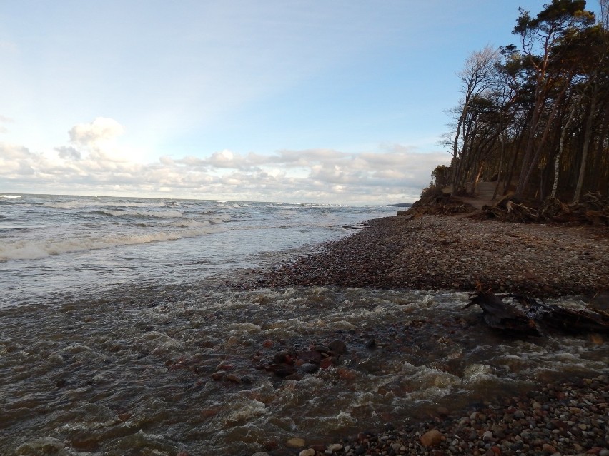 Wietrzna pogoda i wzburzone morze niszczy klify w Orzechowie