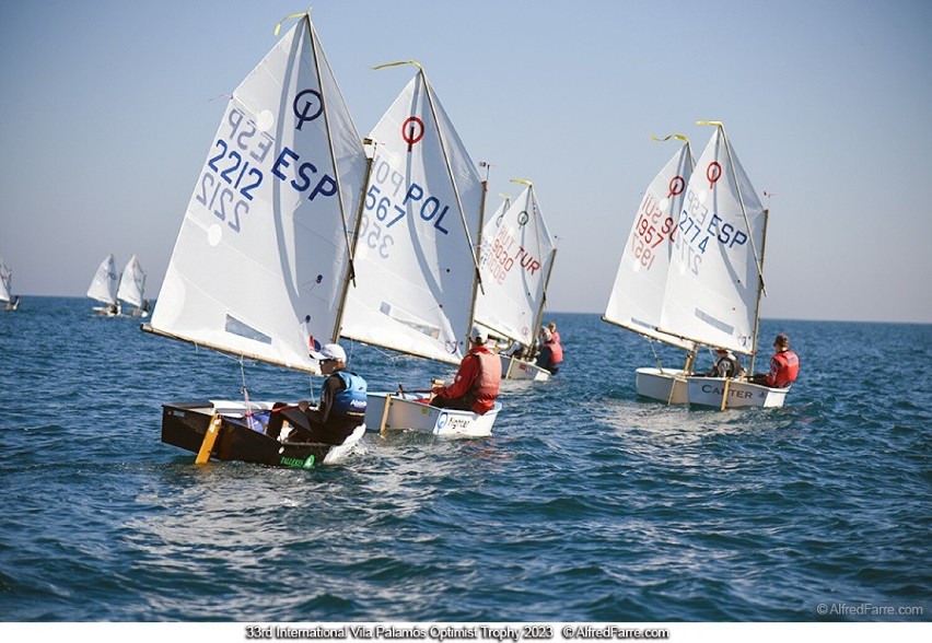 Regaty Palamos Optimist Trophy