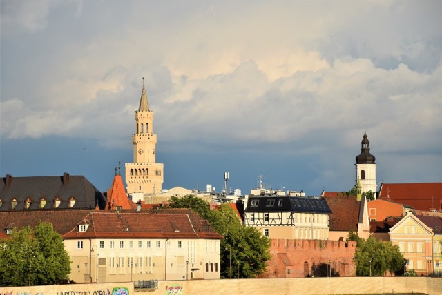 Opole. Ratusz zachęca mieszkańców, by 1 proc. podatku przekazywali lokalnym organizacjom