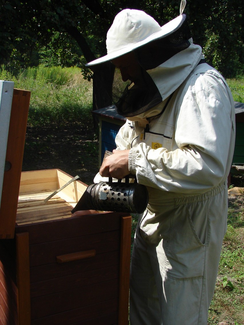 Pan Ireneusz Kwaśniak zajmuje się pszczelarstwem od 20 lat,...