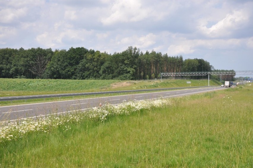 Na odcinku drogi ekspresowej S3 pomiędzy Szczecinem i...