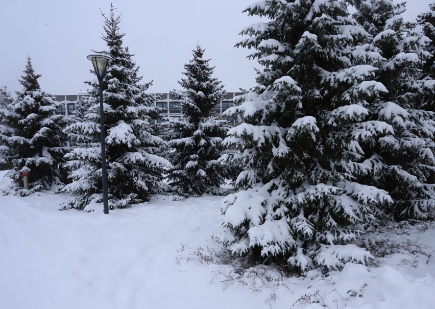 Od kilku dni w Radomiu leży śnieg. Oczywiście ciężko jest...