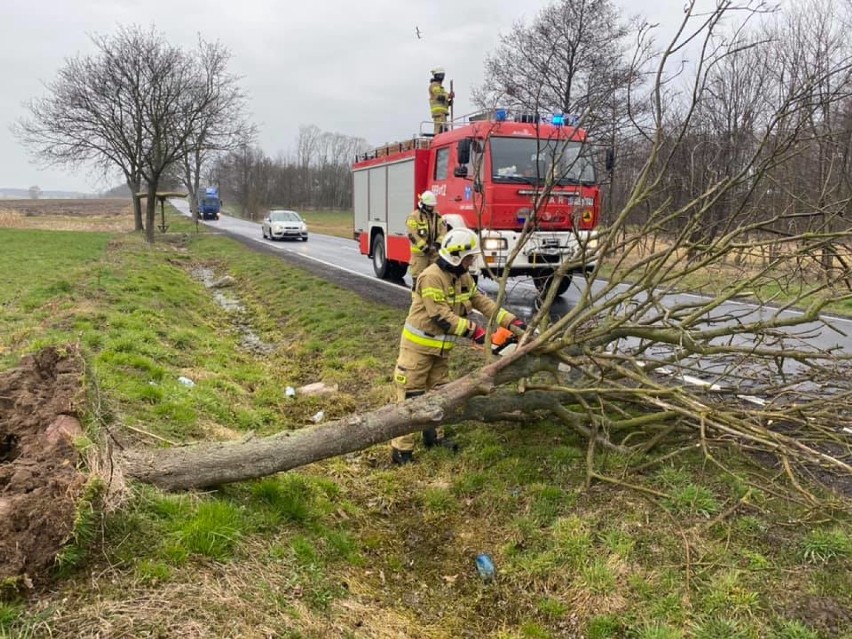 Do zdarzenia doszło o godz. 13.30 za miejscowością Brudzewek