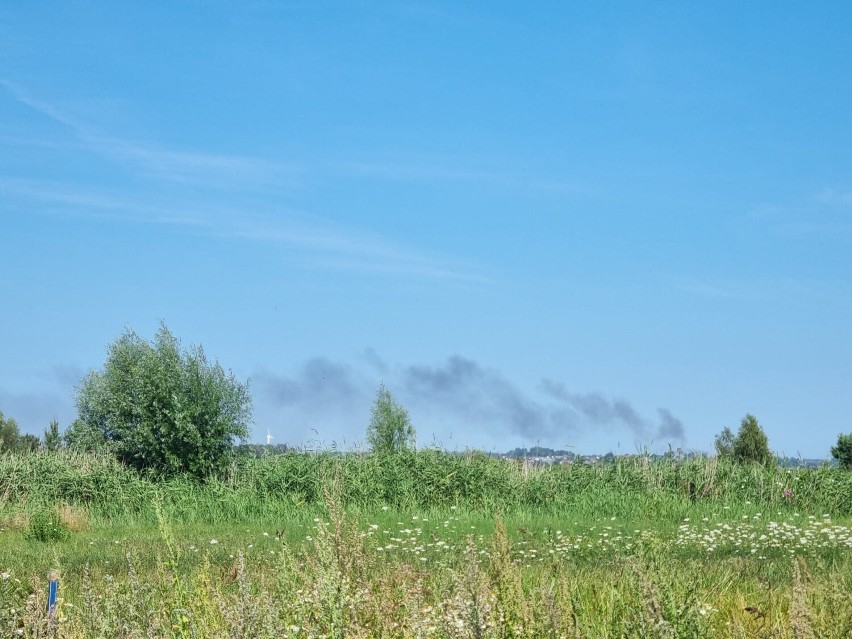 Pożar na polu uprawnym we Władysławowie - 13 sierpnia 2022 r.
