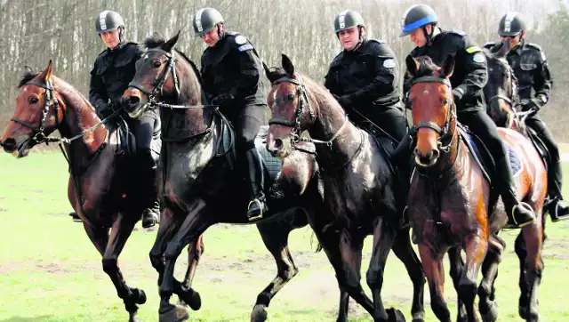 Policja konna jest dumą tomaszowskiej jednostki, mimo to groziła jej likwidacja