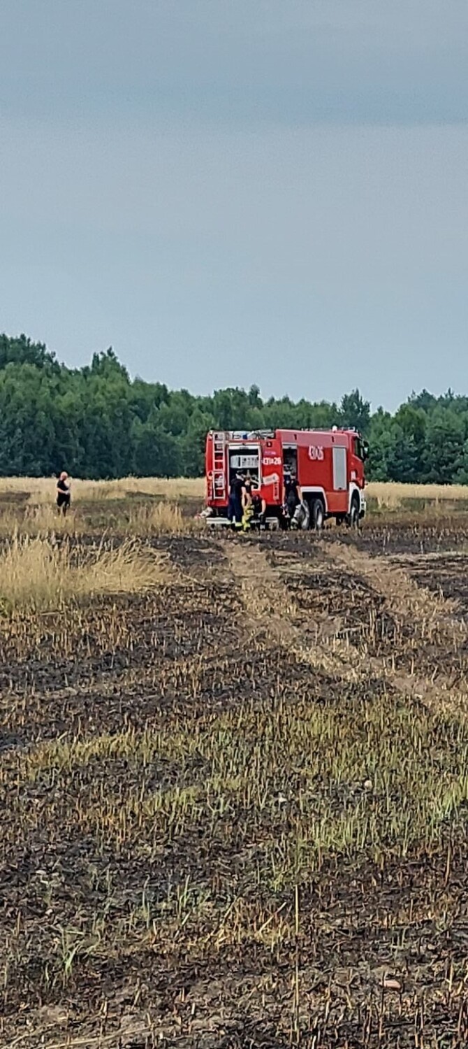 Pożar zboża we Wrzeszczewicach koło Łasku ZDJĘCIA