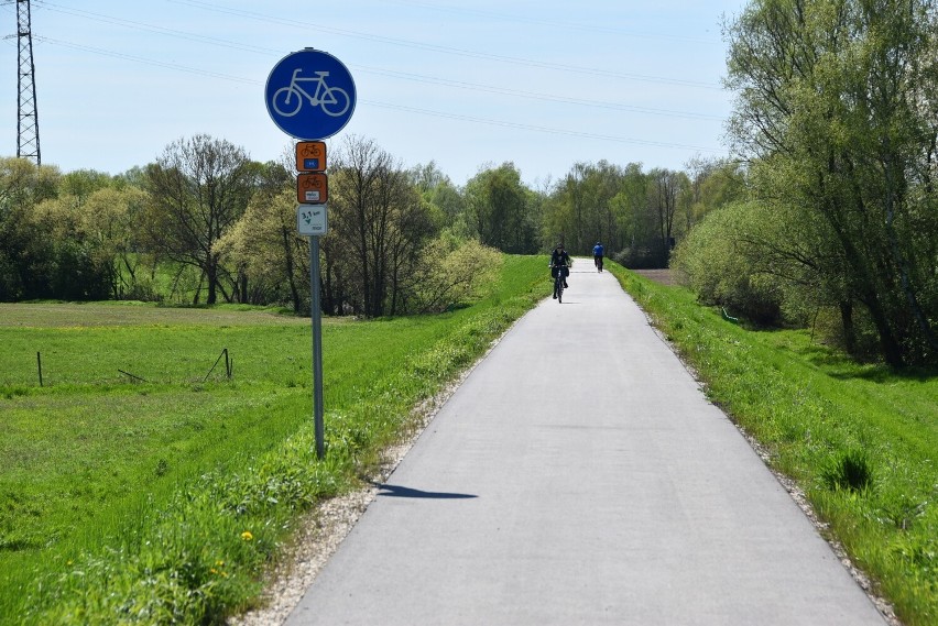 Trasą Velo Dunajec można na południu dojechać już od Czchowa...