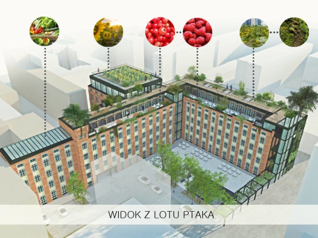 Wizualizacja zielonego dachu na budynkach przy ul. Sienkiewicza w Łodzi