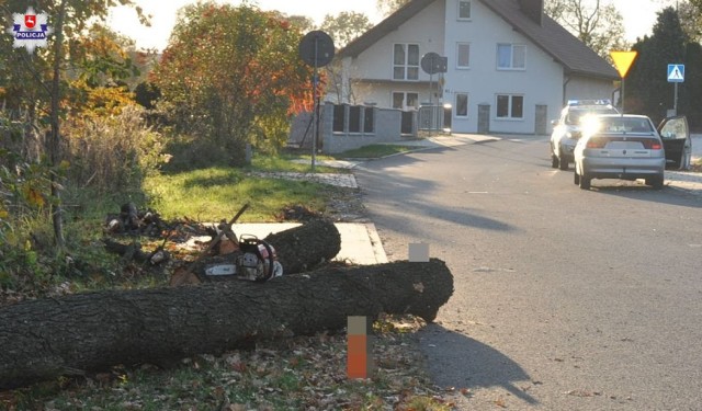 Ścięte drzewo przewróciło się na samochód. Jechały nim dwie osoby