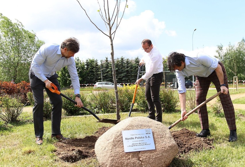 80 drzew na 80-lecie fabryki "Winiary" w Kaliszu