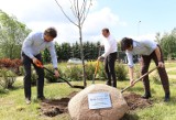 80 drzew na 80-lecie fabryki "Winiary" w Kaliszu ZDJĘCIA